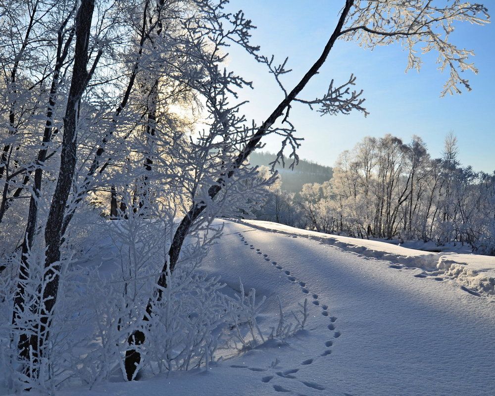 Photograph by Илфир Исламгазин