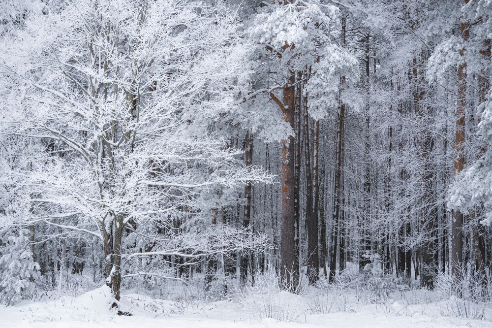 Photograph by Valdis Serzhans