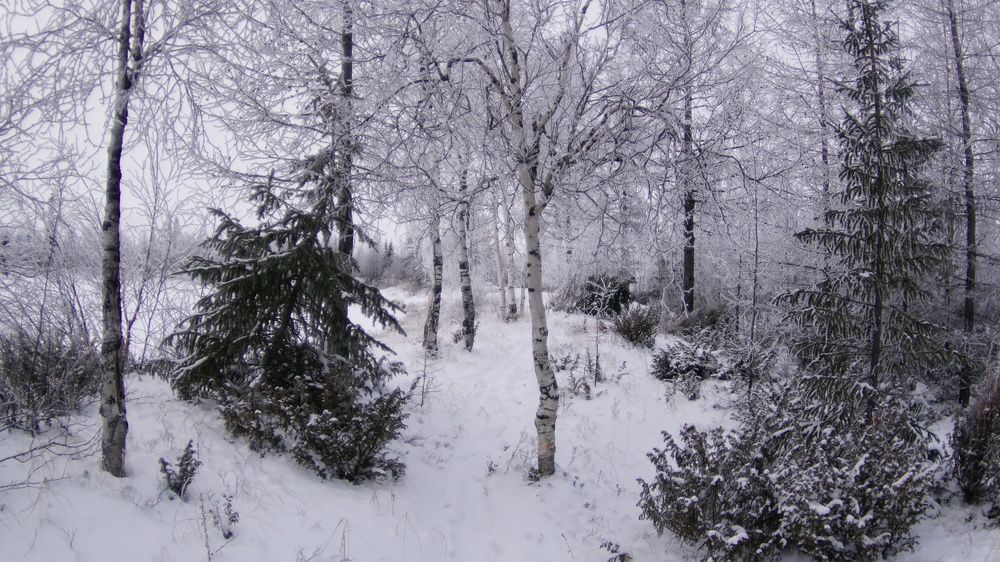 Фотография автора Elena Gasay