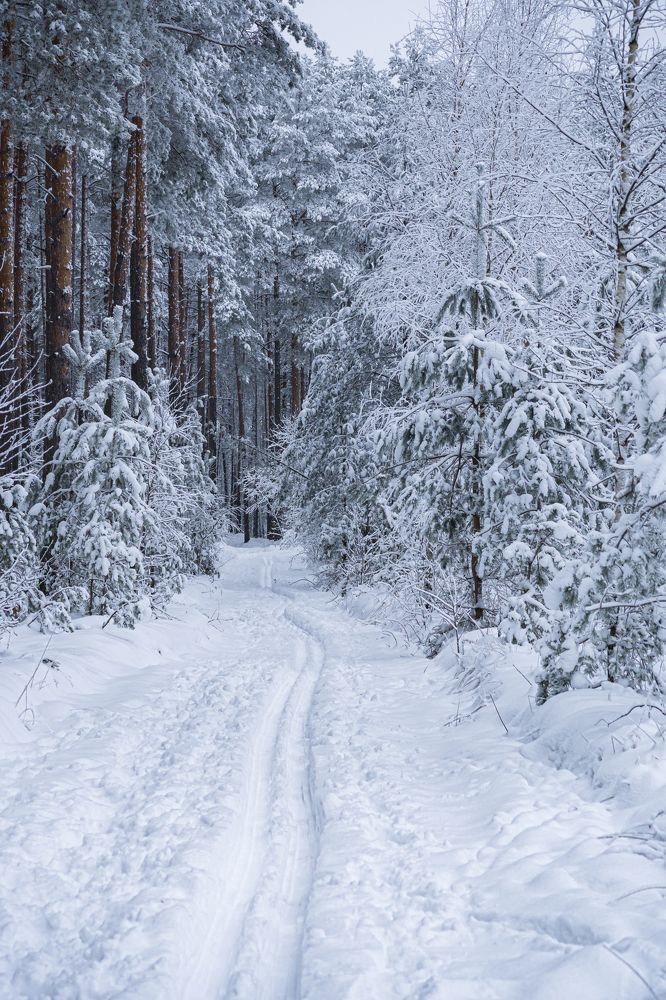 Photograph by Valdis Serzhans