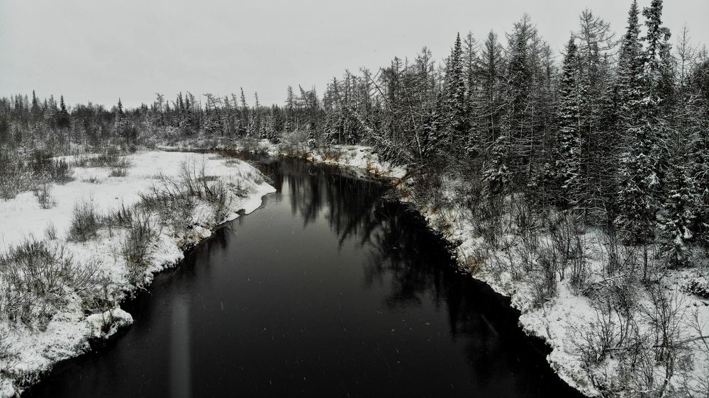 Фотография автора Elena Gasay
