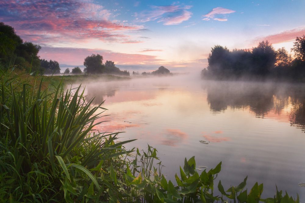 Туманное утро