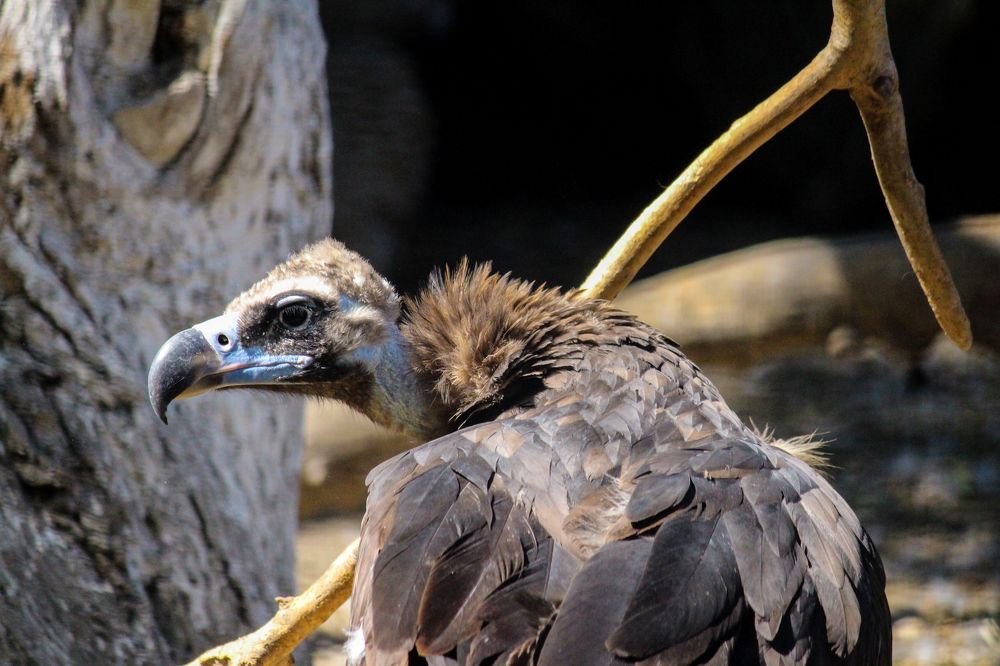 Photograph by Rustam Huseynov