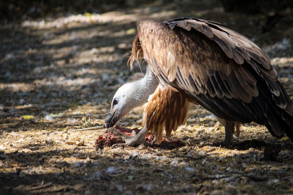 Photograph by Rustam Huseynov