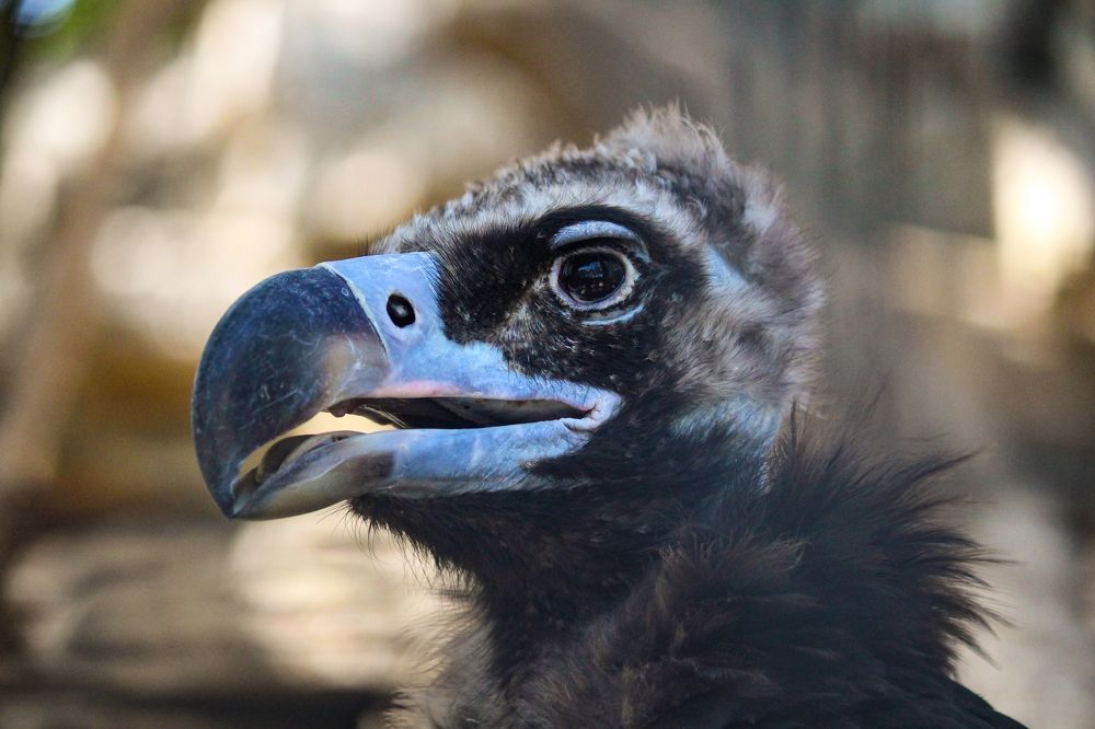 Photograph by Rustam Huseynov