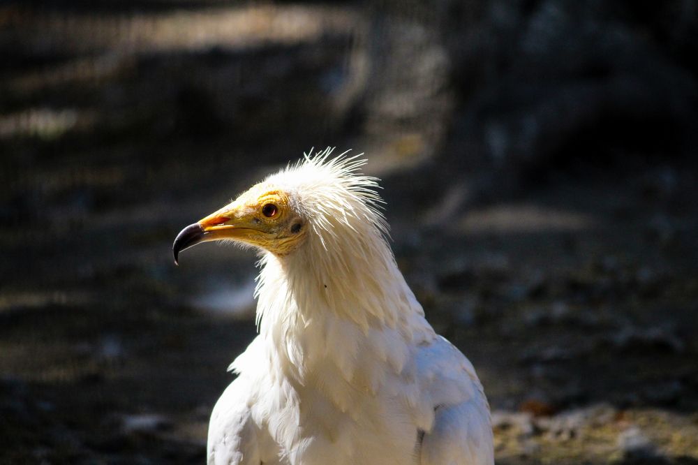 Photograph by Rustam Huseynov