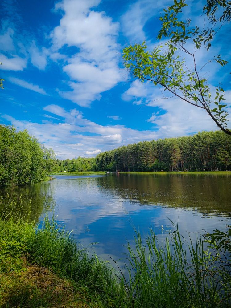 Photograph by Сергей Шубин