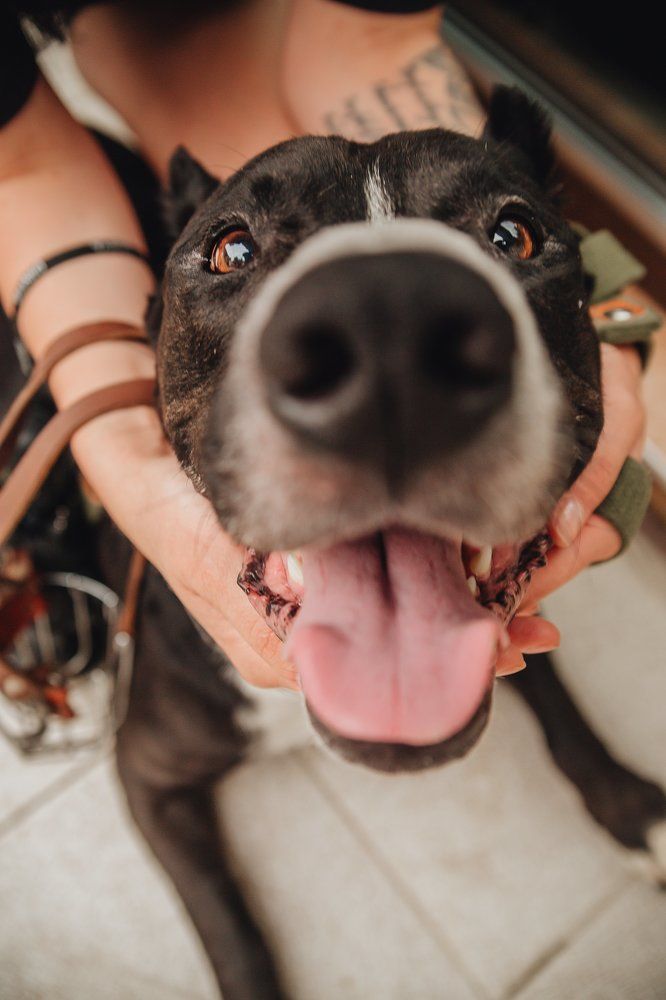 Photograph by Елена Синикова