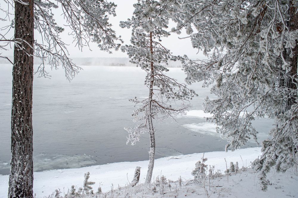 Photograph by Вадим Басов