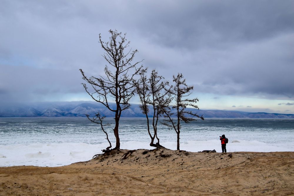 Photograph by Марина Корреа Ластра