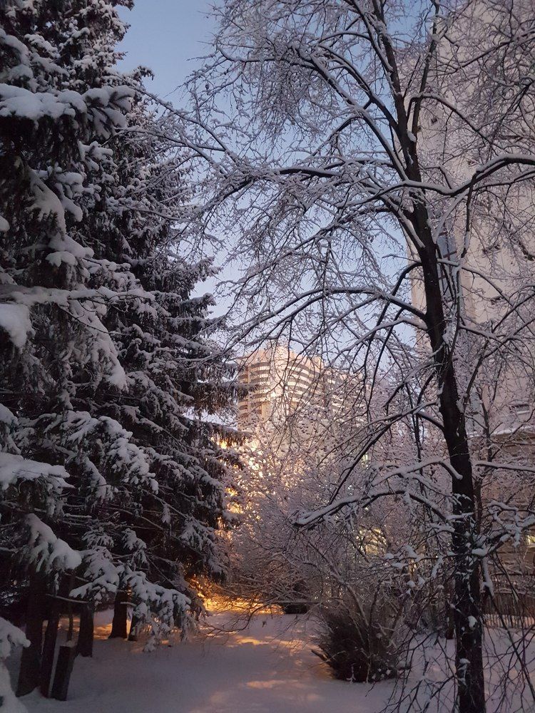 Photograph by Марина Константинова