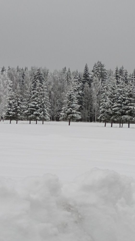 Photograph by Инна Демкив