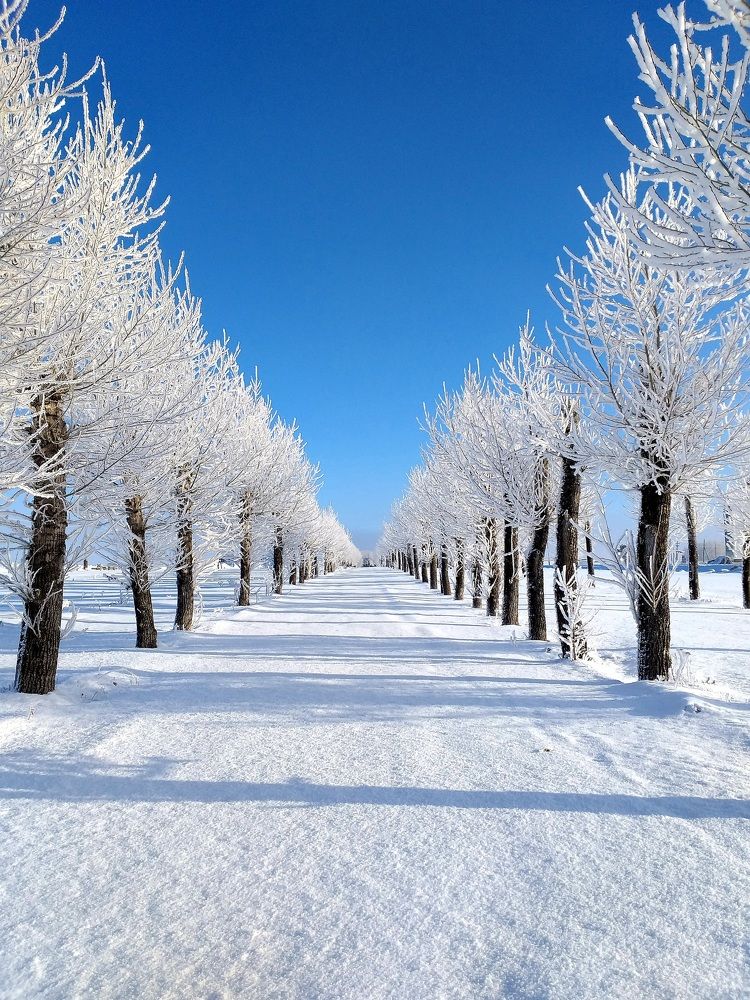 Photograph by Pavel Vorobev