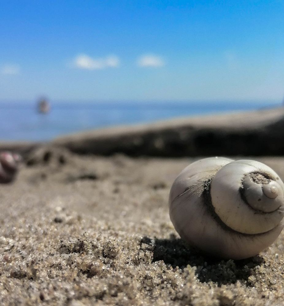 Photograph by Анастасия Карнаухова