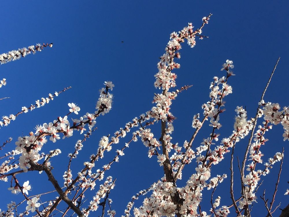 Photograph by Фаридо