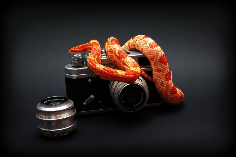 Photograph by Роман Белый