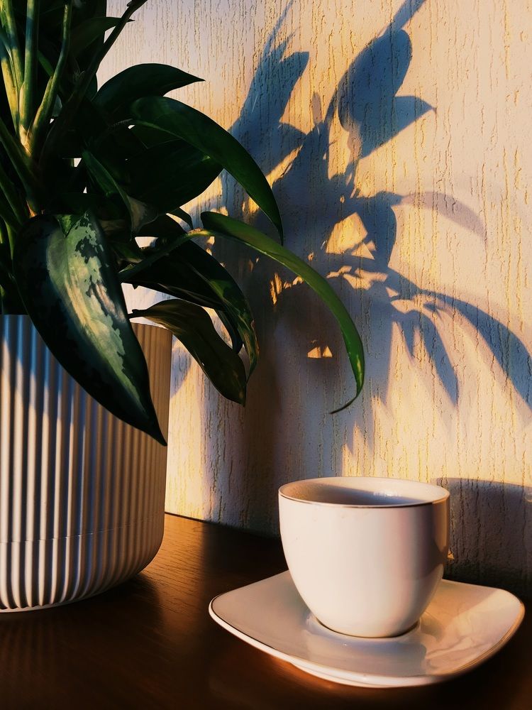 Photograph by Pavel Vorobev