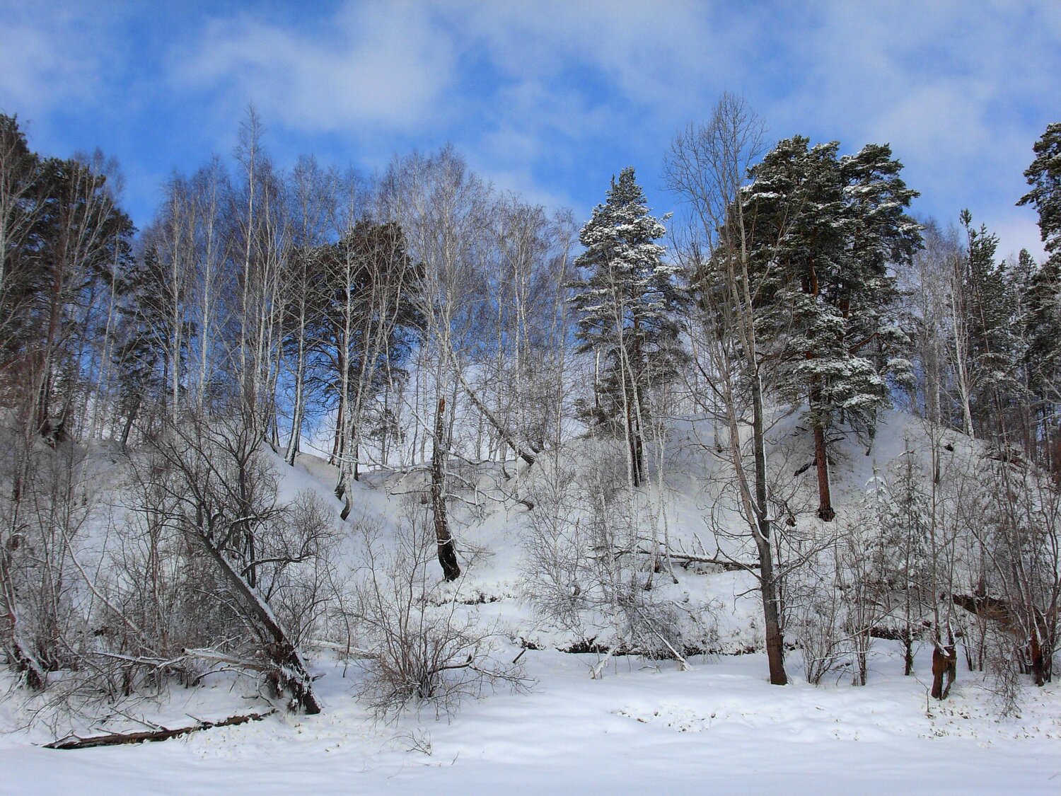 Photo #8505450