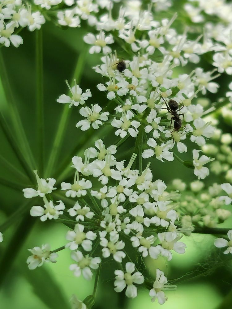 Фотография автора Ольга