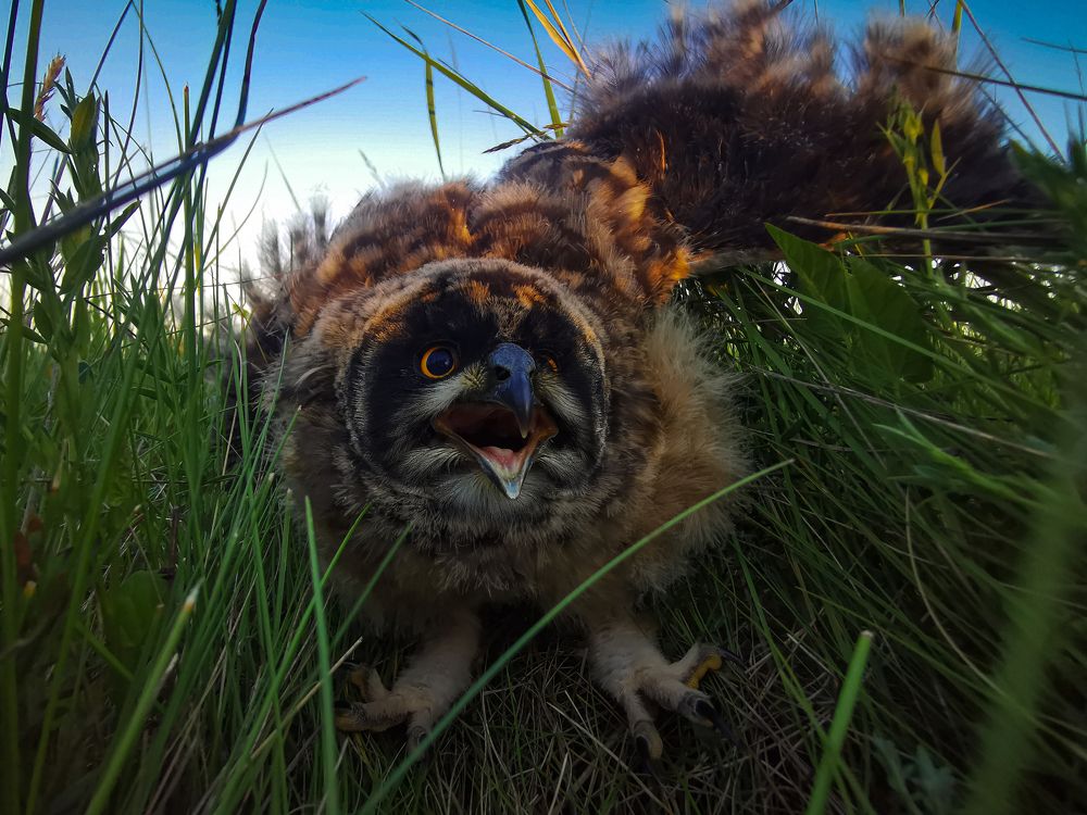 Photograph by Максим Шарыгин