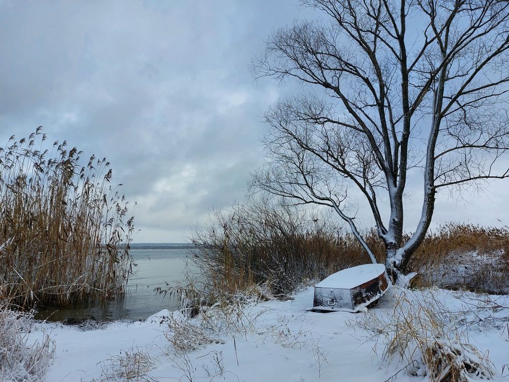 Photograph by Елена Владимировна Локтионова