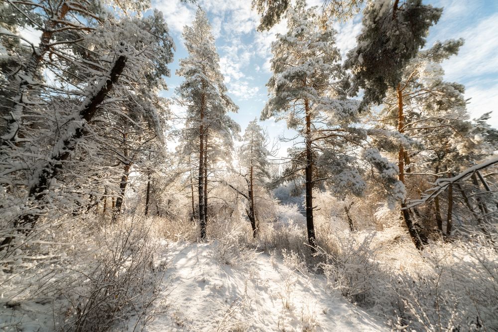 Фотография автора Oleg Suhenko