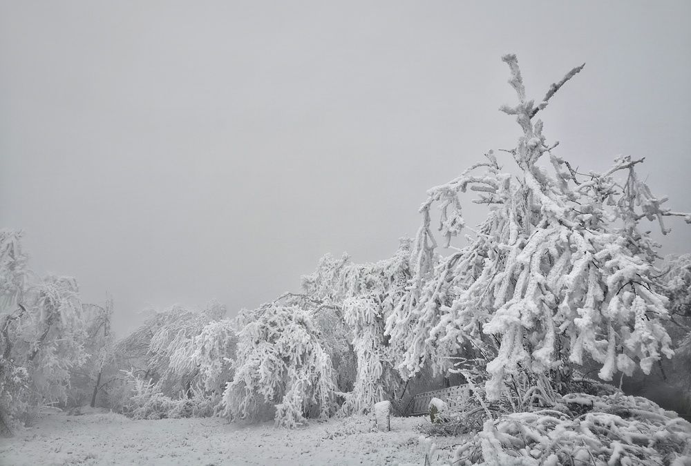 Photograph by 