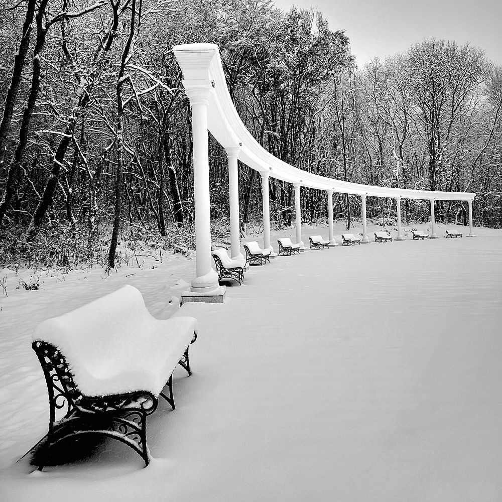 Photograph by Владимир Кривенко