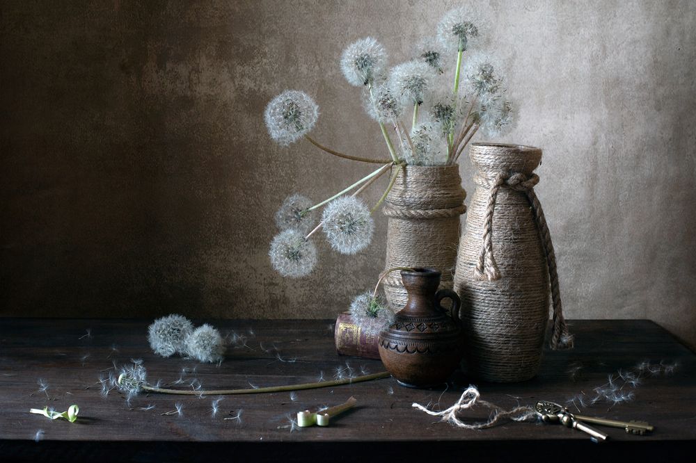 Из жизни одуванов...