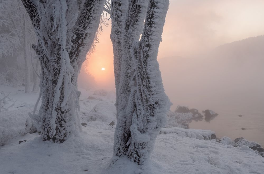 Photograph by Фомина Марина