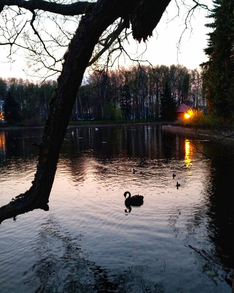 Фотография автора Марина Алексеевская