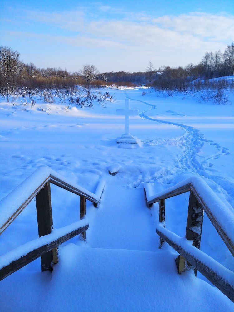 Фотография автора Марина Алексеевская