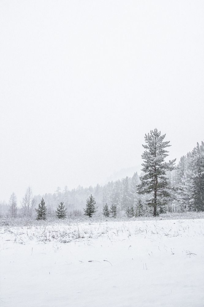 Photograph by Шмаков Денис