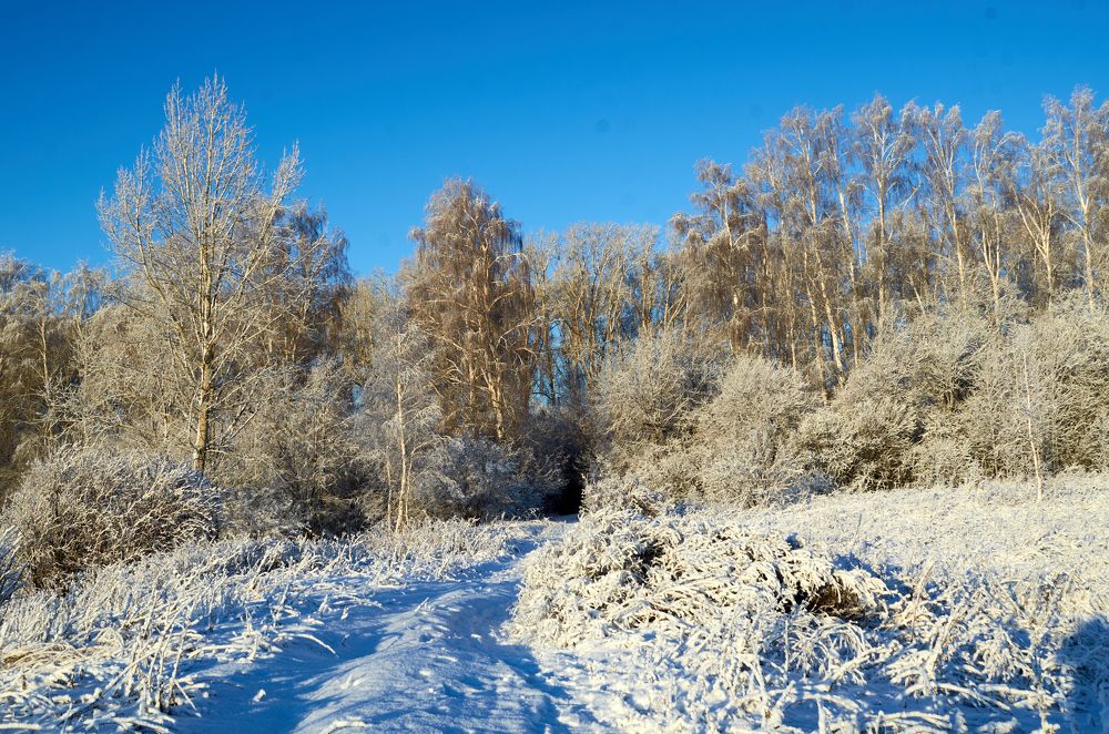 Photograph by Igor Kochkin