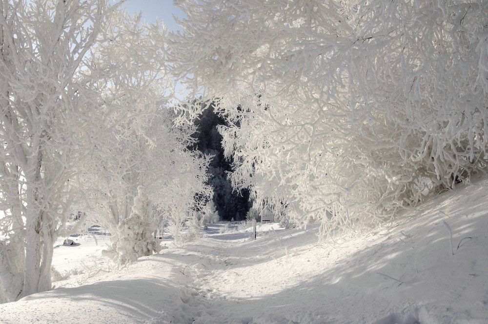 Photograph by Фомина Марина