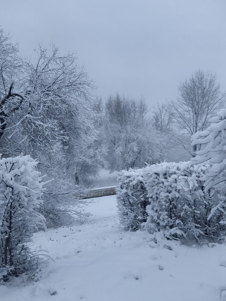 Photograph by Nadin Gaaze