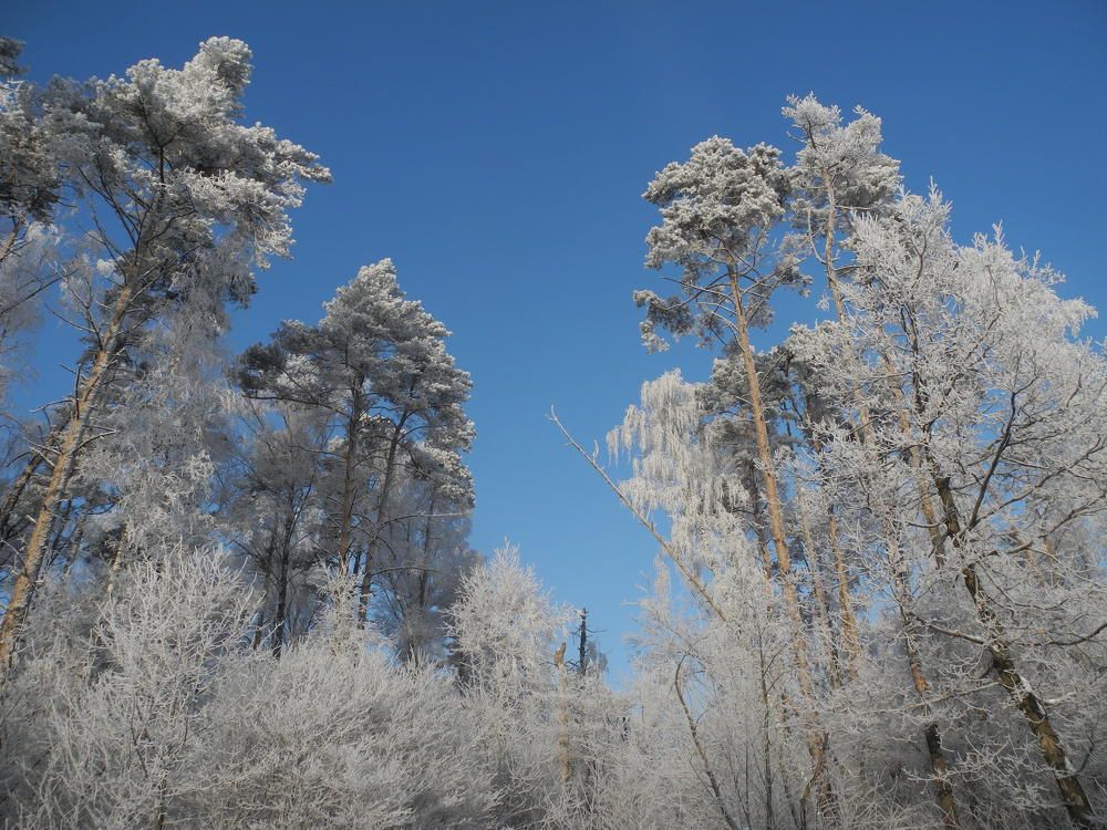 Photograph by Андрей Головин