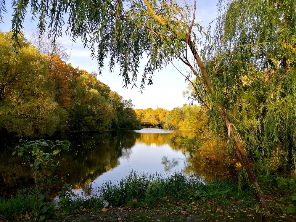 Гармония осени
