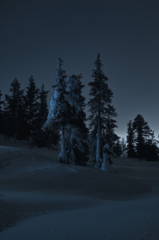 Photograph by Batoev Anton