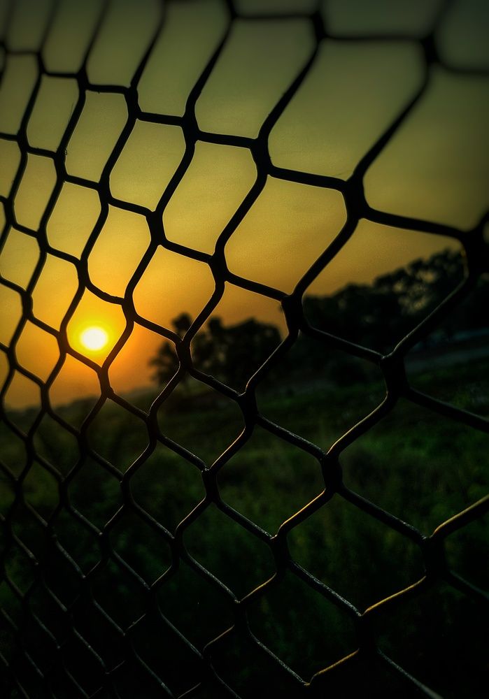 Фотография автора Anwesha Singha