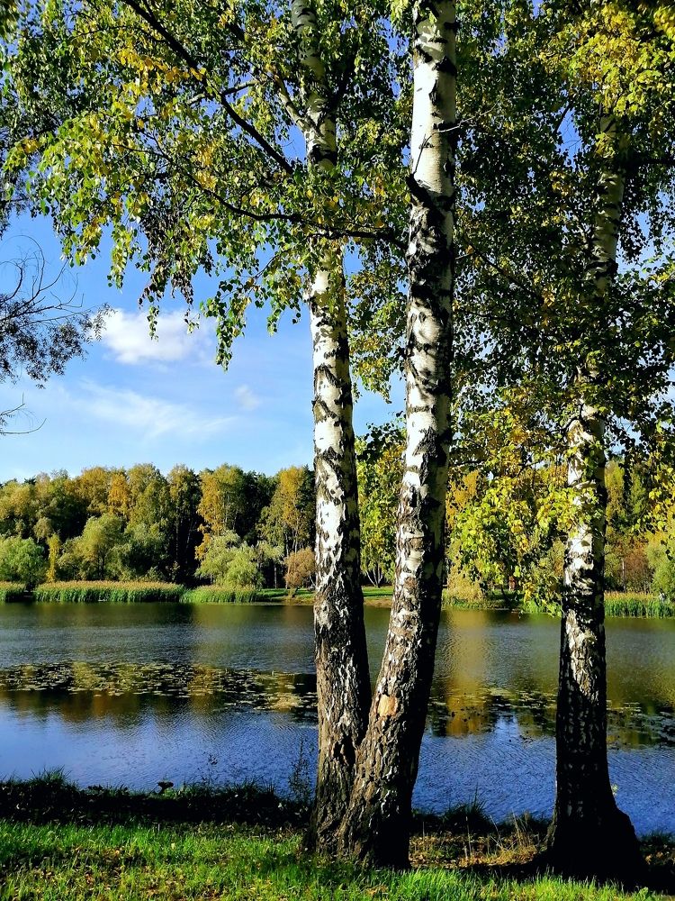 Русь