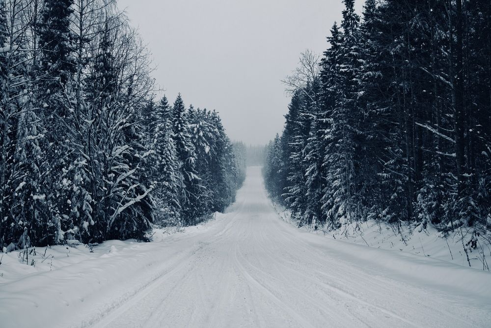 Уральский лес