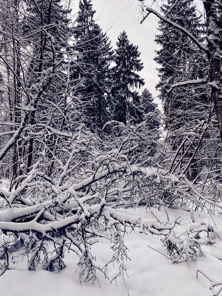 Photograph by Виктория Лаур