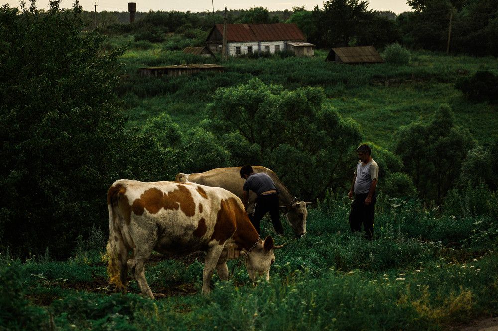 Photograph by Ульяна Салихова
