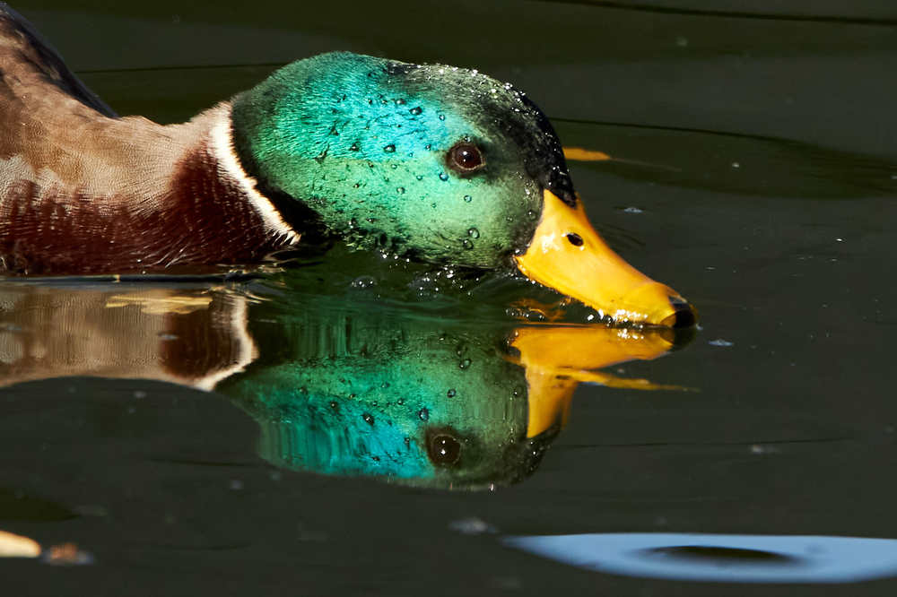 Photograph by Alexey Bogdanov