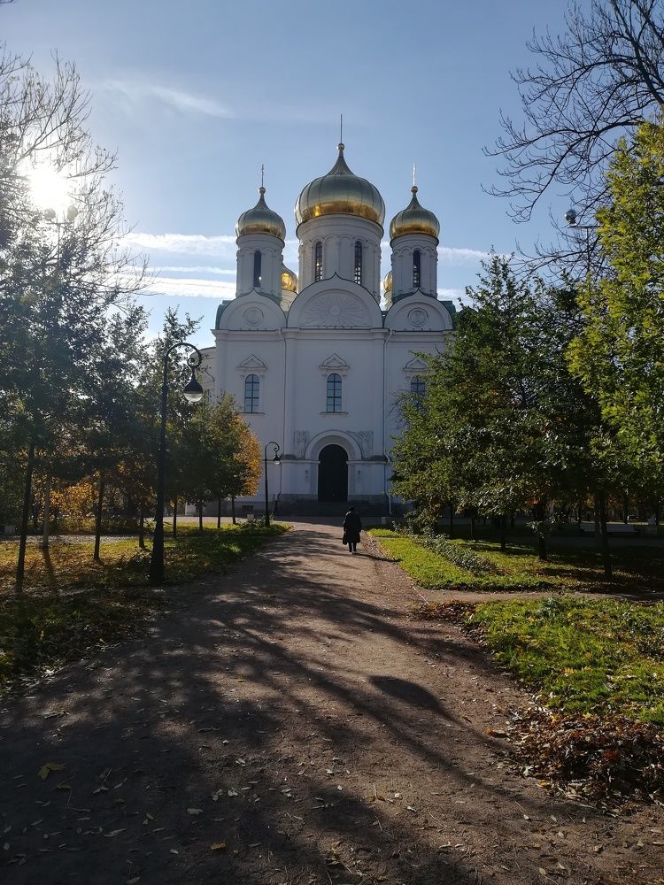 Photograph by Елизавета