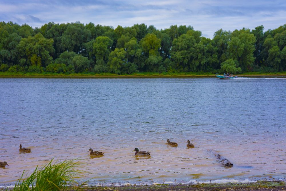 Photograph by Виталий Зубков