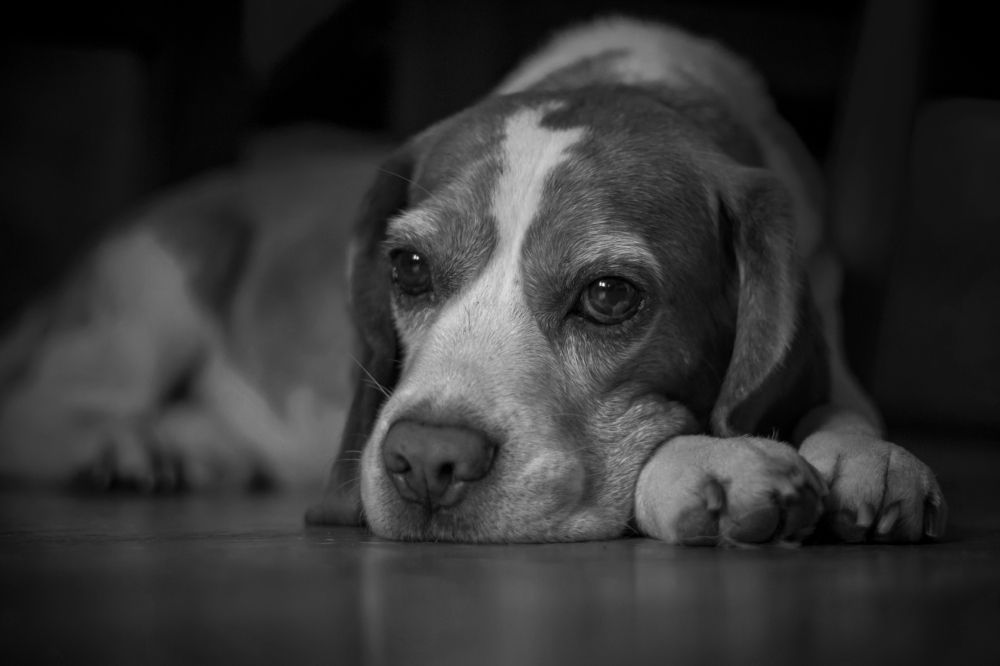 Photograph by Юлия Куликова