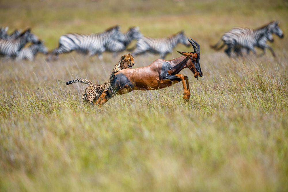 Photograph by Nitin Baste