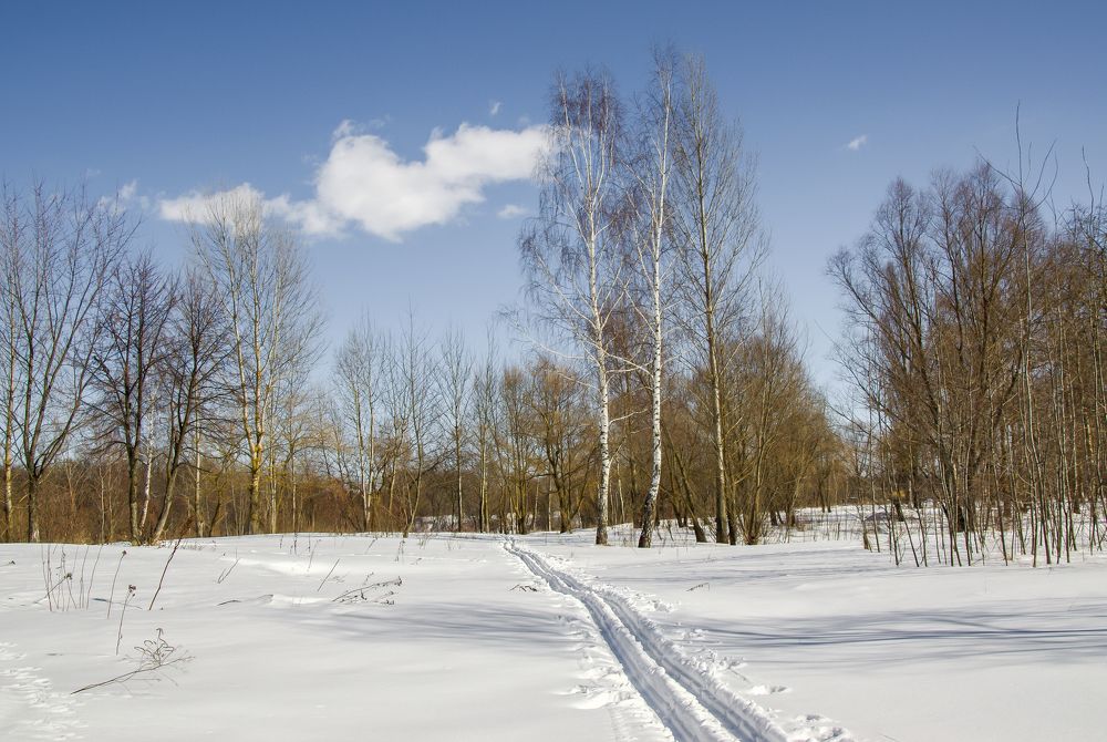 Photograph by Виктор Позняков